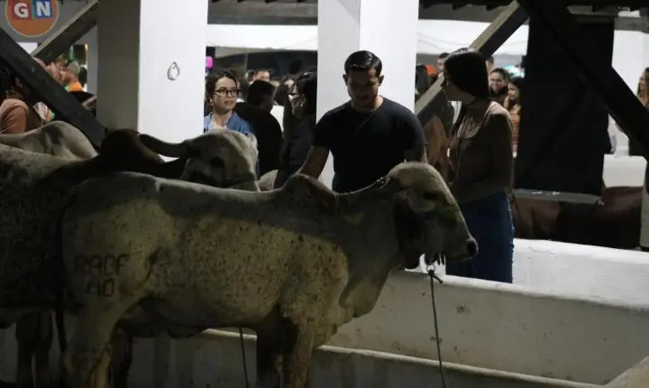 47ª Exposição de Animais de Surubim