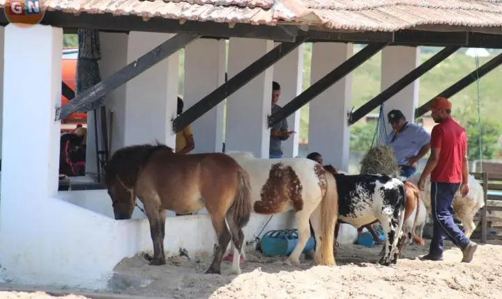 47ª Exposição de Animais de Surubim